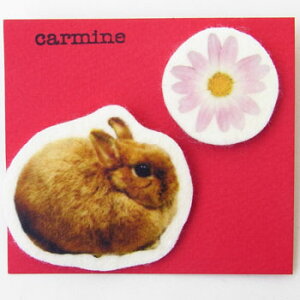 u[`Zbg@ۃETM[carmine]{rbgEoj[