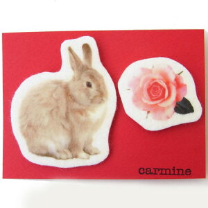 u[`Zbg@ETMуx[W[carmine]{rbgEoj[