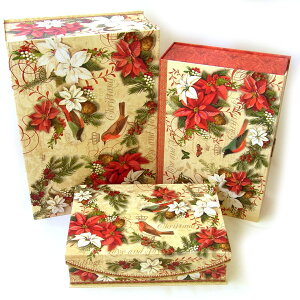 [Punch Studio]tbvgbv@|CZ`Aƒp`X^WI[P[XEMtgBOXEXg[W{bNXENX}XRNV