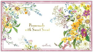 M U HallMark z[}[N ʔN ꌾ 14V[g H Rr