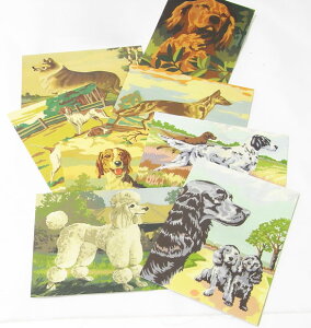 J[hZbg8Zbg@hbOX@[barkology]EʁEhbOEDOGbZ[WEbsOޗO[eBOJ[h