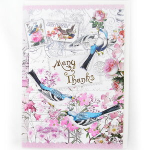 TL[J[hL@o[h@Iu@TNX[Roger la Borde]bZ[WEMtgJ[hEBIRDEEƂ