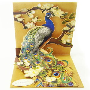 |bvAbv@O[eBOJ[h@s[RbN[Up With Paper]̃J[hbZ[WEo[Xf[|bvAbvJ[hEXvO