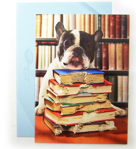 ƏjJ[hL@@u[AVANTI] 715427bZ[WEMtgJ[hEO[eBOt`uhbO