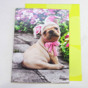 C[X^[J[hL@t`uhbO@oj[[AVANTI]ECkEhbObZ[WEMtgJ[hEO[eBO