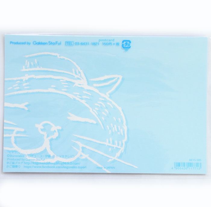 集めたくなるポストカード 評価 ポストカード かご猫シロ日光浴人気のかご猫ブログ ねこ かご猫便りシリーズ猫