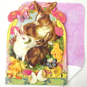 [Punch Studio]ړIO[eBOJ[h@3Ĉ2ĈЂ悱C[X^[