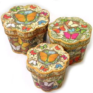 [Punch Studio]p`X^WI@Ԍ^BOXZbg@o^tC咆3_ZbgNature's SongJ[hEEbsOEMtg{bNXE