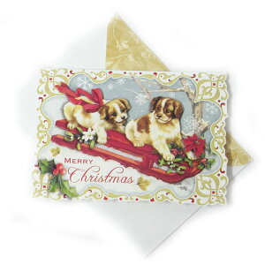 [Punch Studio]nJ[h@XCfBO@ps[NX}X