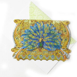 [Punch Studio]nJ[h@S[hs[RbNfUCt p`X^WĨbZ[WJ[hEENWN