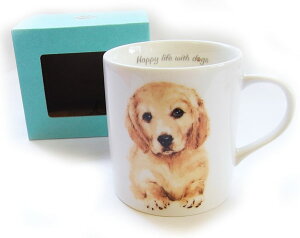 HV[Y@DOG}OJbv@S[fgo[[KYOSHINKAKOU]G݁EʁECkELb`EHEMtg