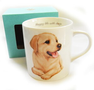 HV[Y@DOG}OJbv@uh[go[[KYOSHINKAKOU]G݁EʁECkELb`EHEMtg