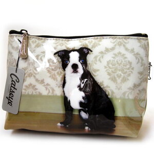 pԁX[EHbVobO@t`uhbO[Catseye][ObY@G]