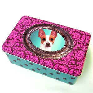Xg[WʃP[X obNeA Xg[WeB[ObY@G] [Catseye]ECkEhbOEDOG