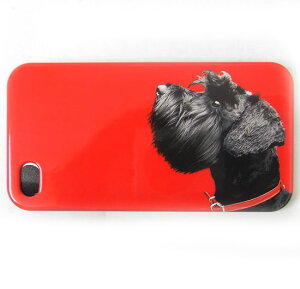 i PhoneJo[@eA@I@bh@44Sp[Catseye][ObY@G]EhbOE