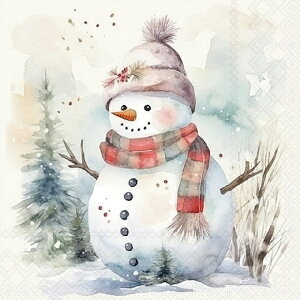 �y�[�p�[�i�v�L�� ���R�̒��̐Ⴞ��� Snowman in nature Ambiente �����`�T�C�Y �X�m�[�}��