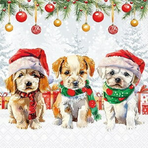 y[p[ivL 3C̉q Funny cute puppies Ambiente `TCY }t[ ~hbO