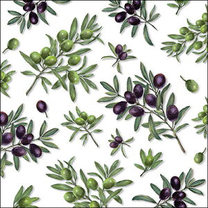 �y�[�p�[�i�v�L�� Olives All Over Ambiente �A���r�G���e ���n �I���[�u ���n