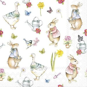 I y[p[ivLC[X^[K[f Ambiente ArGe `TCY n ETM  rbg oj[ Aq Ђ