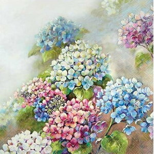 I y[p[ivLAWTC̉e Ambiente ArGe `TCY  z