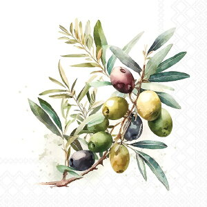�y�[�p�[�i�v�L�� Olive branch Ambiente �A���r�G���e �I���[�u �}