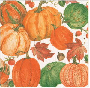 �I�� �y�[�p�[�i�v�L�� �p���v�L���t�B�[���h �z���C�g Caspari �J�X�p�� �n���E�B�����ڂ��� �J�{�`��