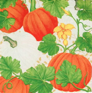 I y[p[ivL ڂX zCg Caspari JXp nEB J{` pvL