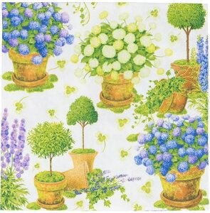 I y[p[ivLPotted Hydrangeas Caspari JXp `TCY gsA[ z AWTC 