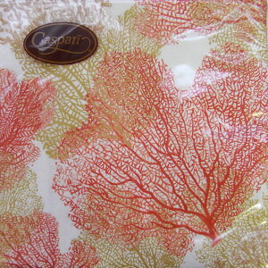 y[p[ivL[[OK]@V[t@Y@R[10CaspariJXpBy@JANINE MOORE