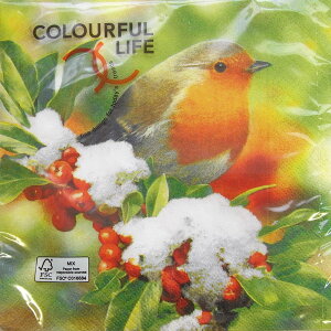 C-48@3y[p[ivL@winter scene ƒ[COLOURFUL LIFE]JtCtEʐ^EEivLEfRp[W