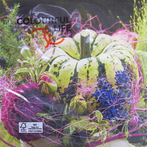 C-81@3y[p[ivL@nEBpvL@autumun decoration`TCY[COLOURFUL LIFE]JtCtڂEʐ^EEivLEfRp[W