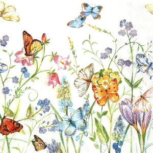 5y[p[ivL o^tCubT zCg [Ihr]`TCYy[p[itL ivL fRp[W   `E