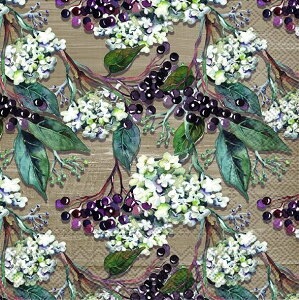 5y[p[ivL G_[t[ uE[Ihr] ivL fRp[W n VbN H ~ hCt[ 