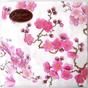 y[p[ivL@~@zCgp[ `TCY Caspari JXp