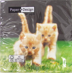 3 y[p[ivL ŐL2CL ˂ lR Lbg[Paper+Design]y[p[fUC