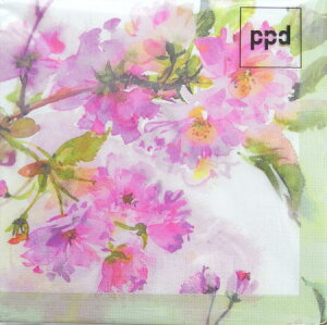 y[p[ivL  ppd[Paper Products Design]`TCY  TN `F[ubT