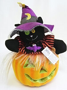 t@Co[Lbg@I@pvL drnEB[