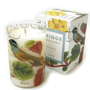 tOXLh@[jObotanica[FRINGE@STUDIO][LhE[tOXEF