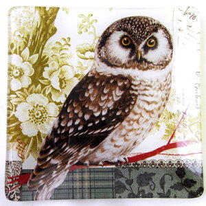 FRINGE@OXg[ ӂ낤@Owl