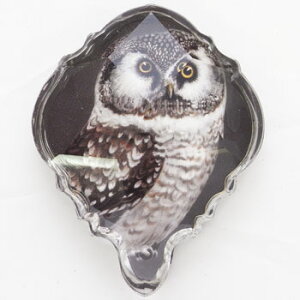 FRINGE@NX^}Olbg@IEOwl~~YNEtNEEӂ낤