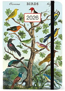 Cavallini&Co Jo[j EB[N[vi[2026 o[h  _CA[ 蒠 2026N1n܂ A6 J@[j AXPW[