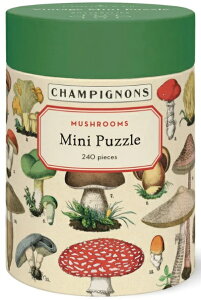 240s[X Be[WpY~j LmR Cavallini&Co J@[j Jo[j ̂ }bV[