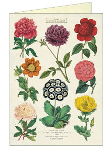 Cavallini O[eBOJ[h {^jJ Cavallini&Co J@[j Jo[j n uNJ[h ړIJ[h O[eBOJ[h