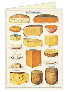 Cavallini O[eBOJ[h `[Y Cavallini&Co J@[j Jo[j n uNJ[h ړIJ[h O[eBOJ[h