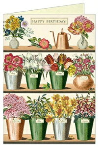 Cavallini o[Xf[J[h t[}[Pbg ԉ Cavallini&Co@J@[j@Jo[j@n@uNJ[h