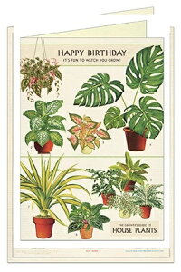 Cavallini o[Xf[J[h nEXvc Cavallini&Co@J@[j@Jo[j@n@uNJ[h ϗtA v^[ nMOvc