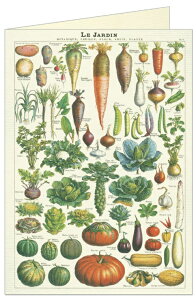 Cavallini O[eBOJ[h W_ Cavallini&Co J@[j Jo[j n uNJ[h ړIJ[h O[eBOJ[h 