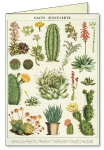 Cavallini O[eBOJ[h T{e Cavallini&Co J@[j Jo[j n uNJ[h ړIJ[h O[eBOJ[h A