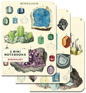 Cavallini&Co ~jm[gubN3Zbg z A6 NoteBook J@[j IVm[g z  