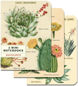 Cavallini&Co ~jm[gubN3Zbg T{e A6 NoteBook J@[j IVm[g A